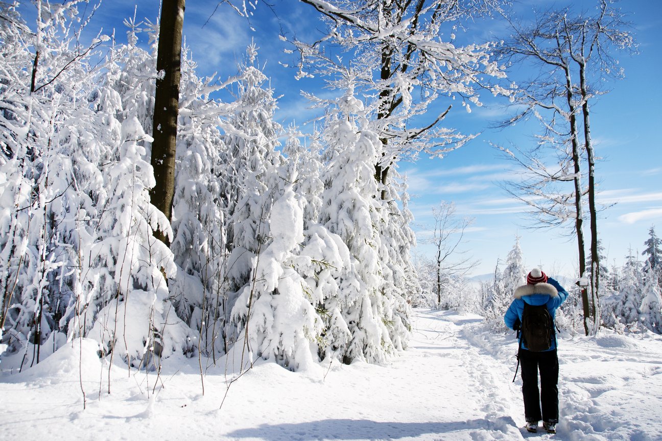 Winterlandschaft.