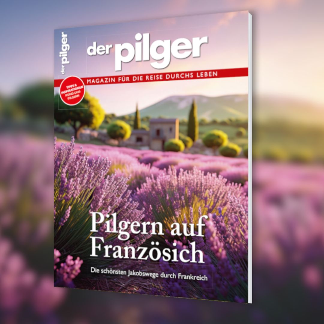 Cover des ePapers Pilgern auf Französisch
