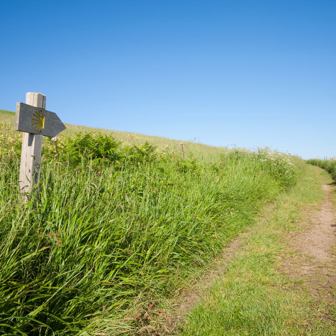 Pilgerweg mit Wegweiser.
