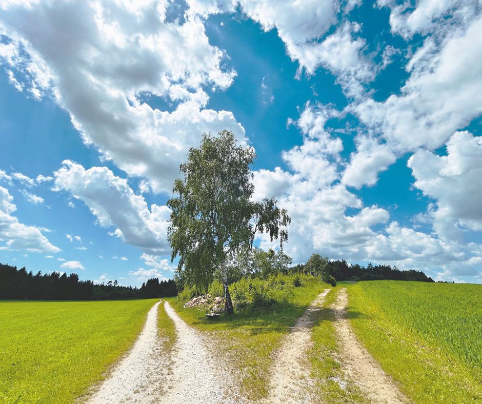 Landschaft mit 2 Wegen.