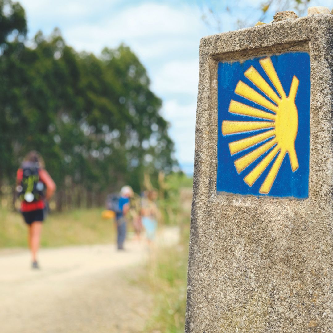 Pilgerweg mit Jakobsmuschel.