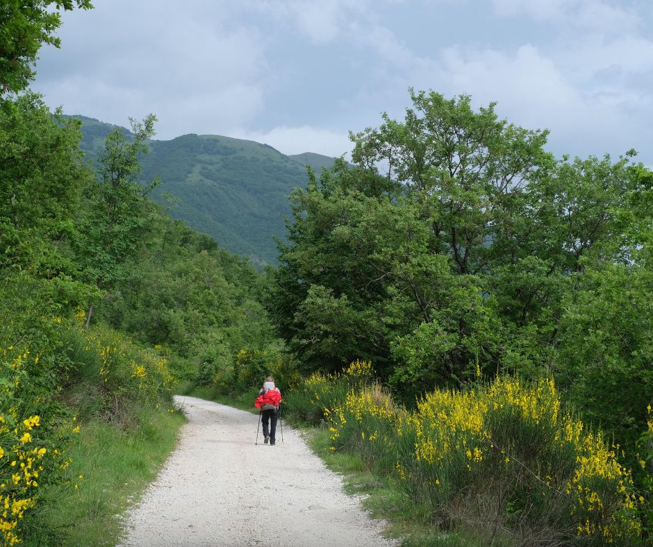 Pilgerweg.