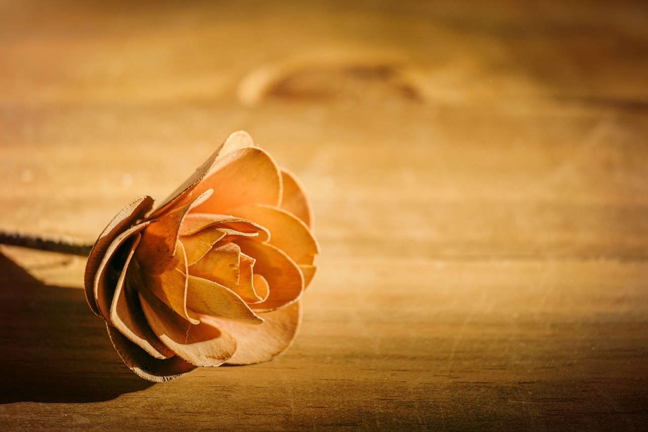 Blume auf Tisch.