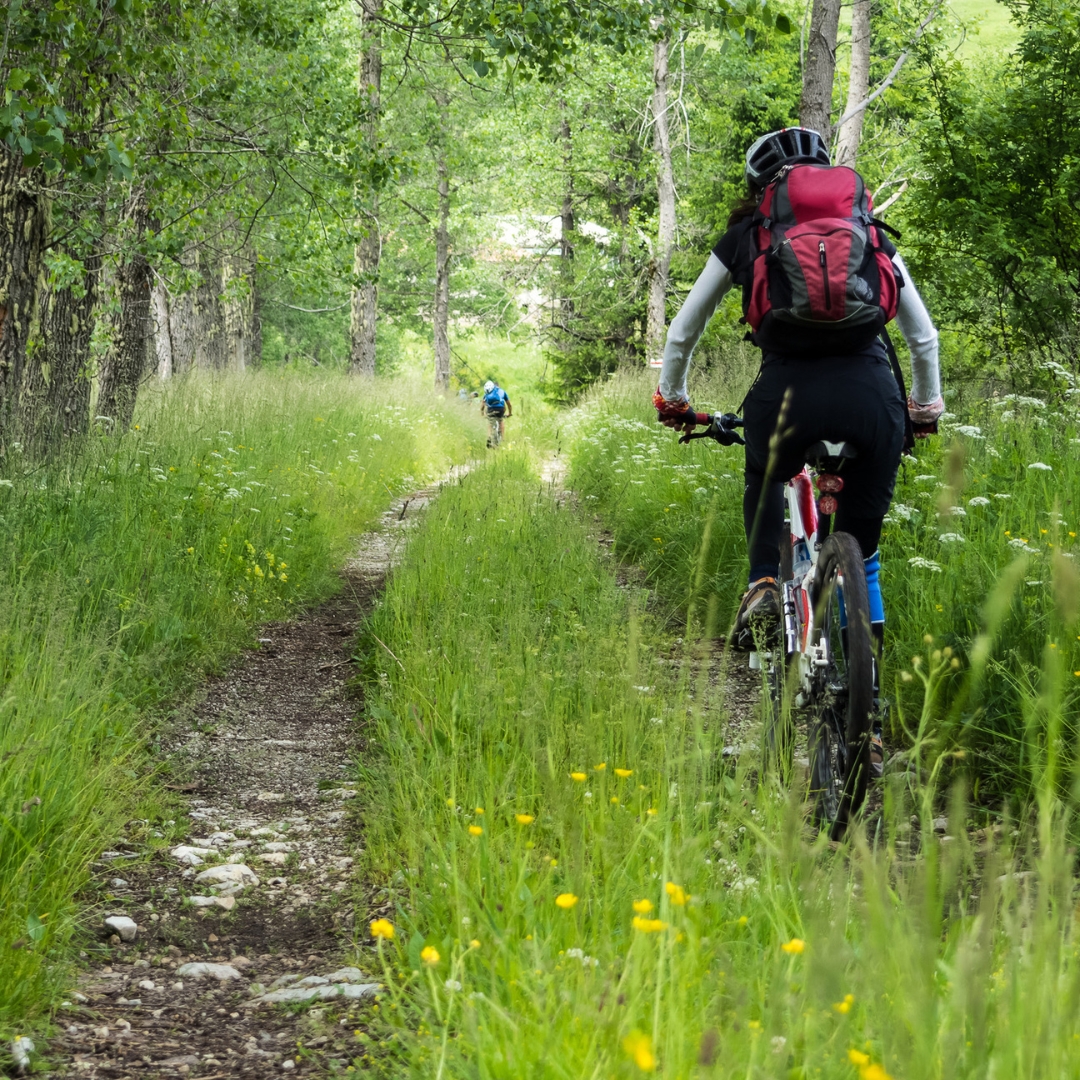 Radfahrer unterwegs auf dem Waldweg.