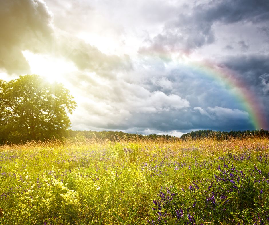 Blauer Himmel mit Wolken, Sonne und Regenbogen über Wiese