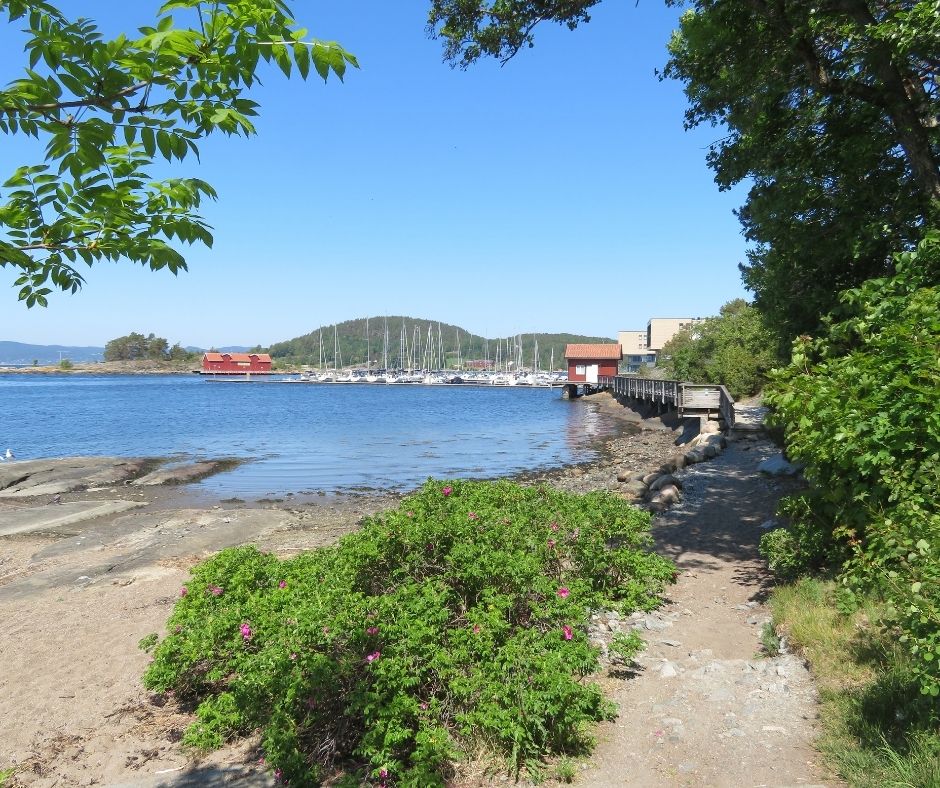Idyllischer Blick auf einen Hafen am See.