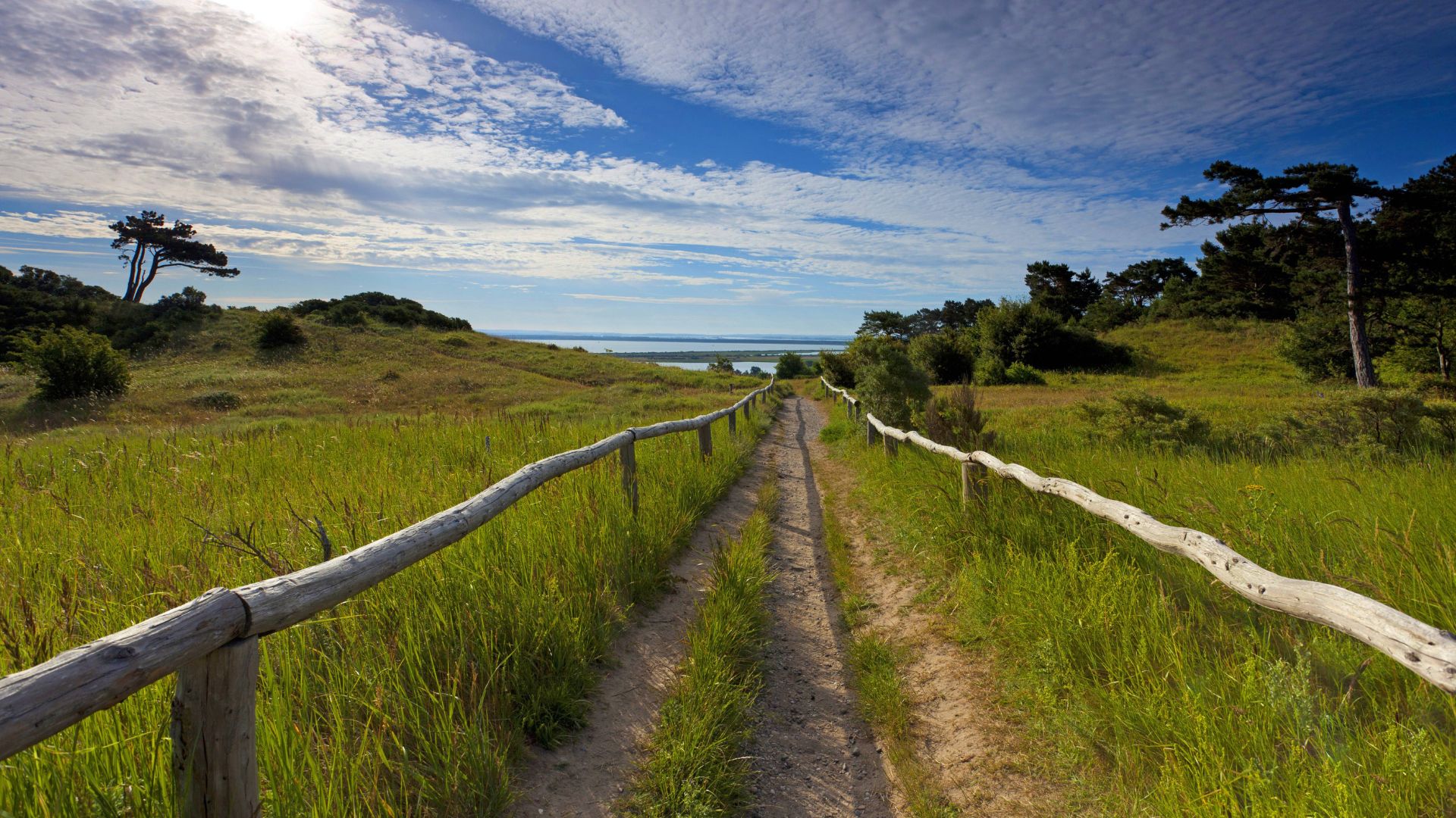 unbefestigter Weg, rechts und links mit Handlauf aus Holz, durch Landschaft mit Wiese und ein paar Bäumen