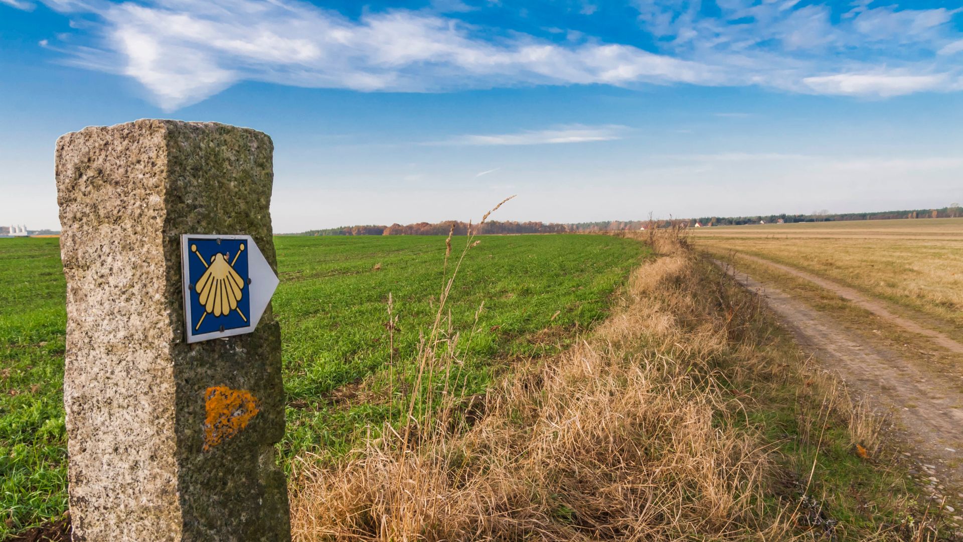 Granitstele mit Jakobswegmarkierung, gelbe Jakobsmuschel auf blauem Grund, am Rand eines Weges durch eine flache Landschaft mit Feldern
